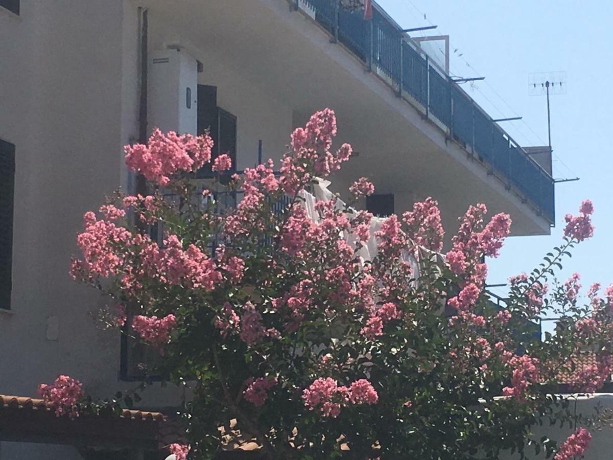 Coastal Cliff, Amalfi Apartamento Pianillo Exterior foto